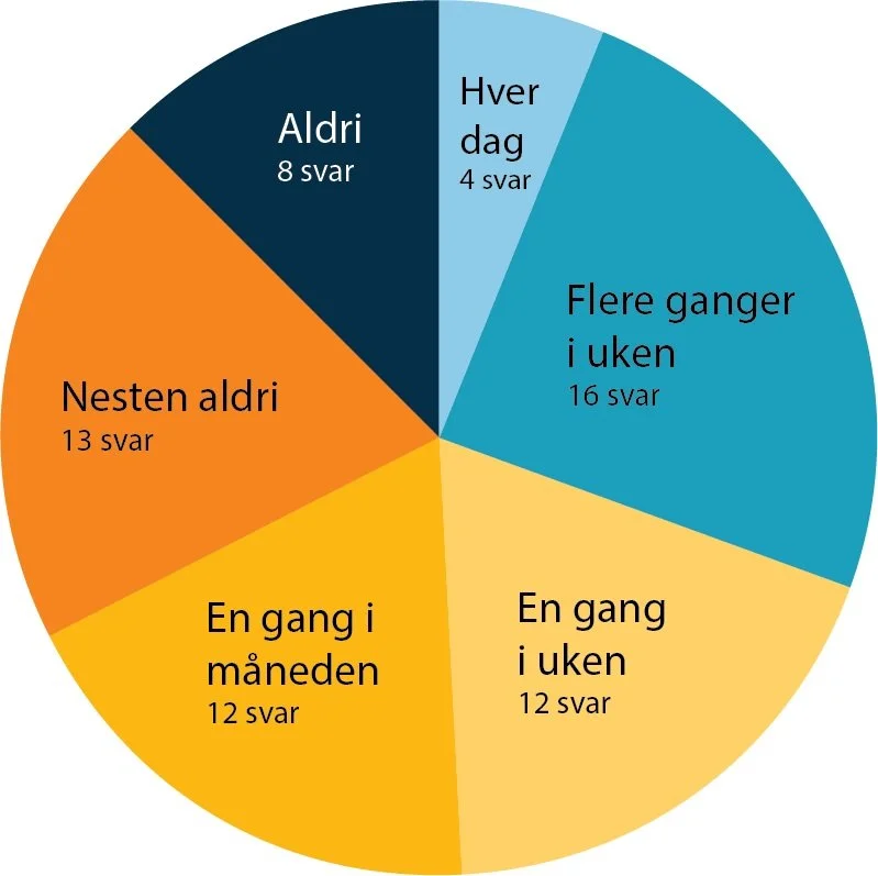 Hvor ofte ser du på porno? Svar: 65