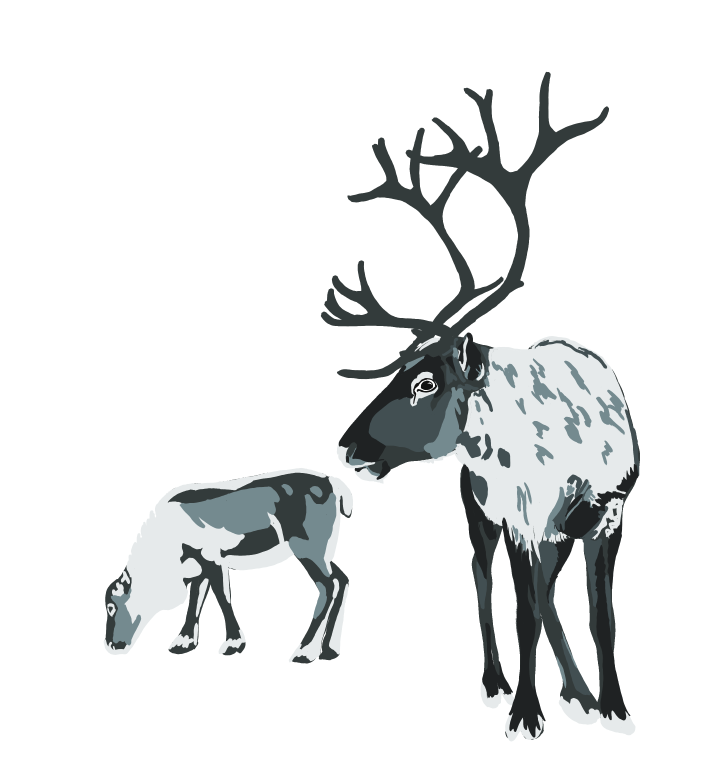 Gevir, vind og grønnkolonialisme