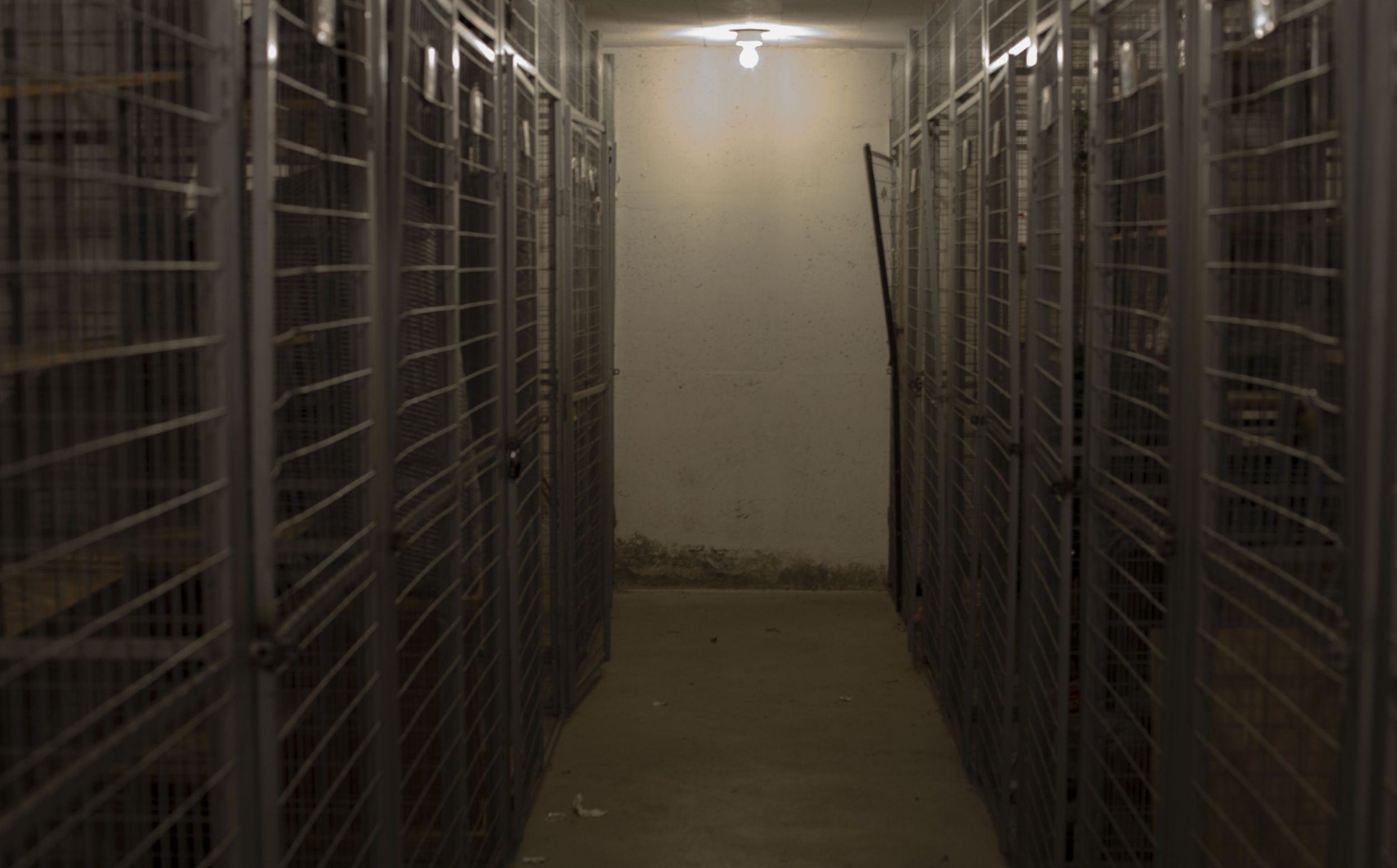 Storage Break-ins Simply Dismissed