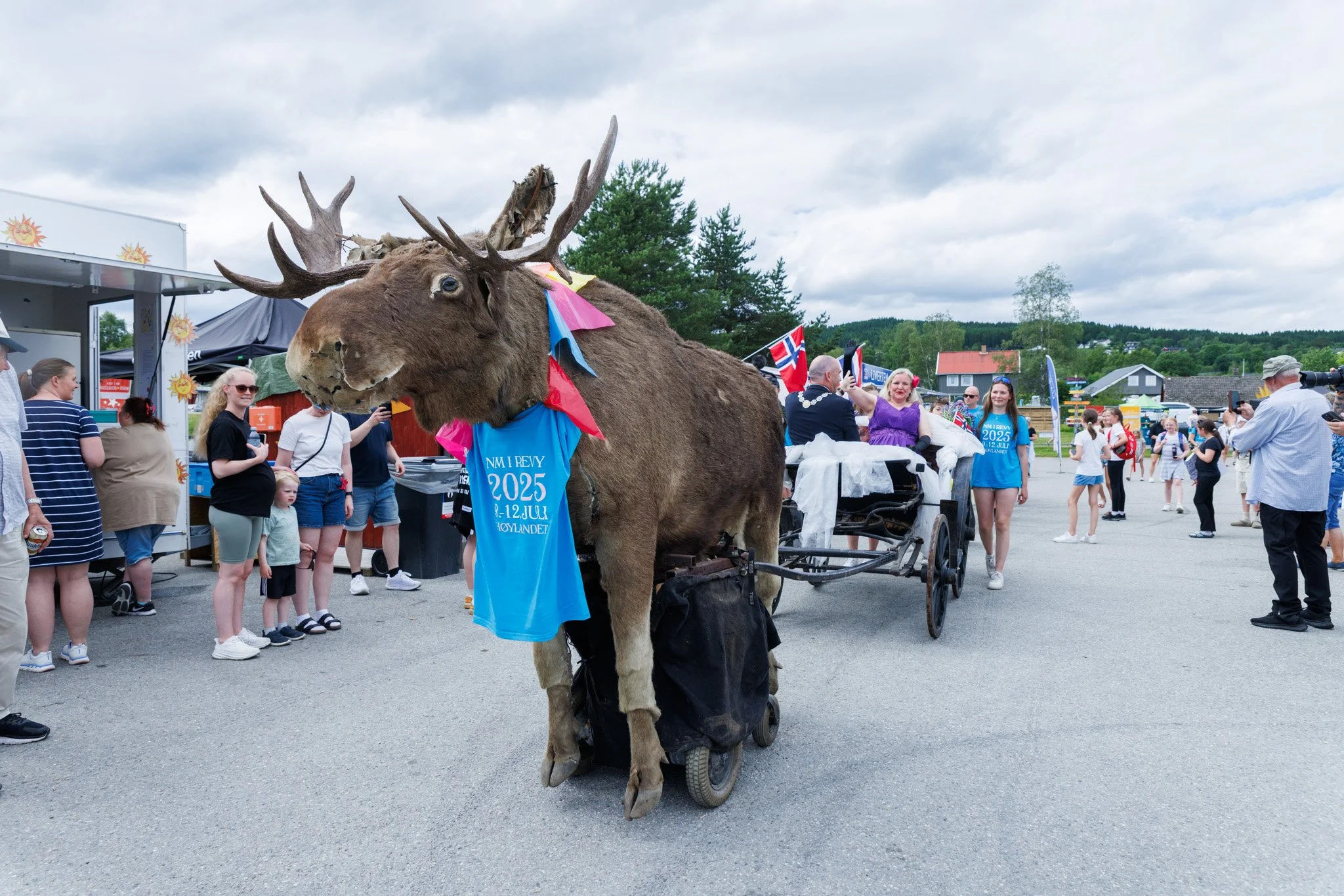 Visste du at: Det var ein Elg på Ås