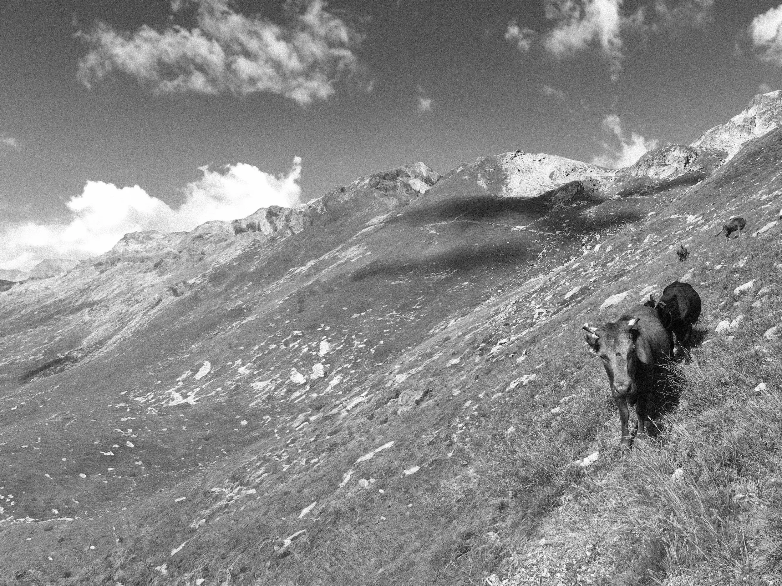 Spillsidefasit TT02 2026