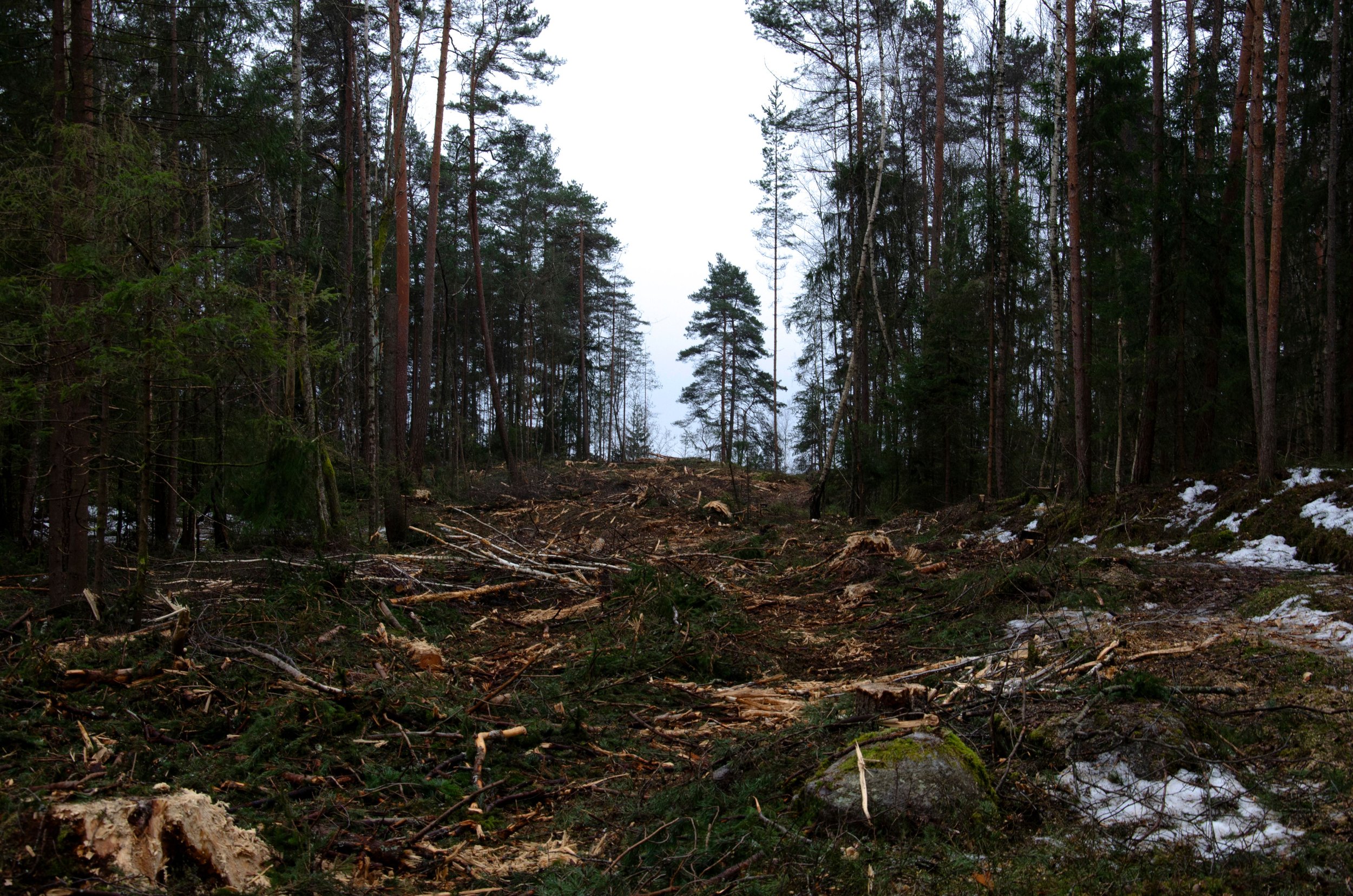 Demonstrasjonene på Vestnebba