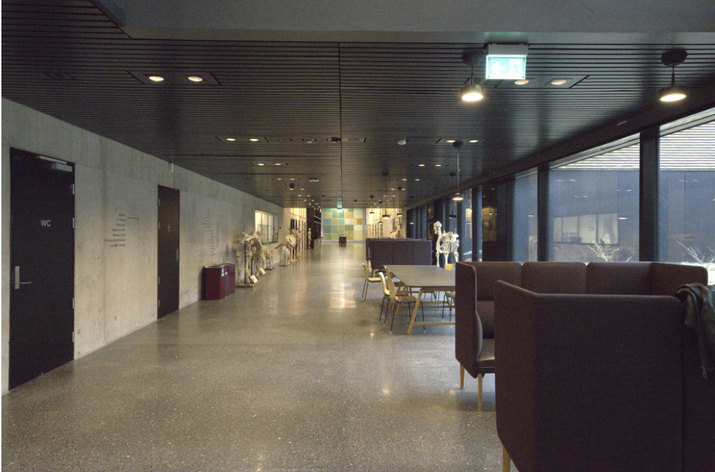 Plassmangel på  Veterinærbygningens  63 000 m² 