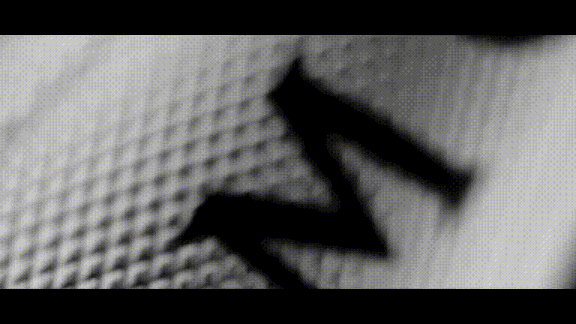MOET2.gif