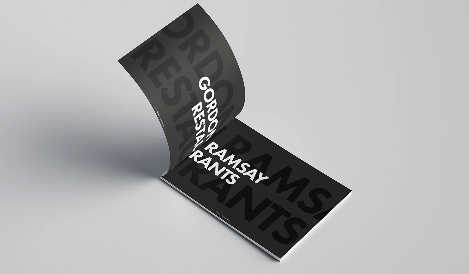 Brand Identity: Showcase Portfolio