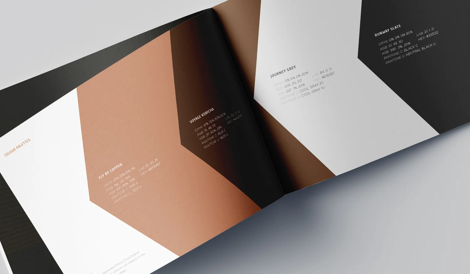 Gordon Ramsay Plane Food: Brand identity / guidelines