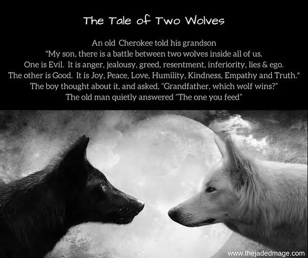 The struggle is real. Every now and then I remind myself of this little story. Especially when I feel stuck. I look at this and tell myself that it&rsquo;s as simple as what I choose to feed, what I choose to give energy to because what I give energy