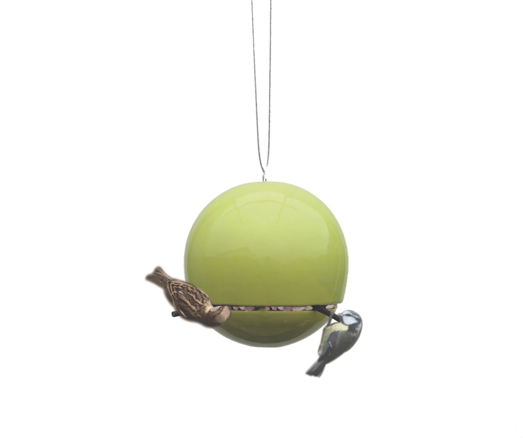 Lime Peanut Feeder