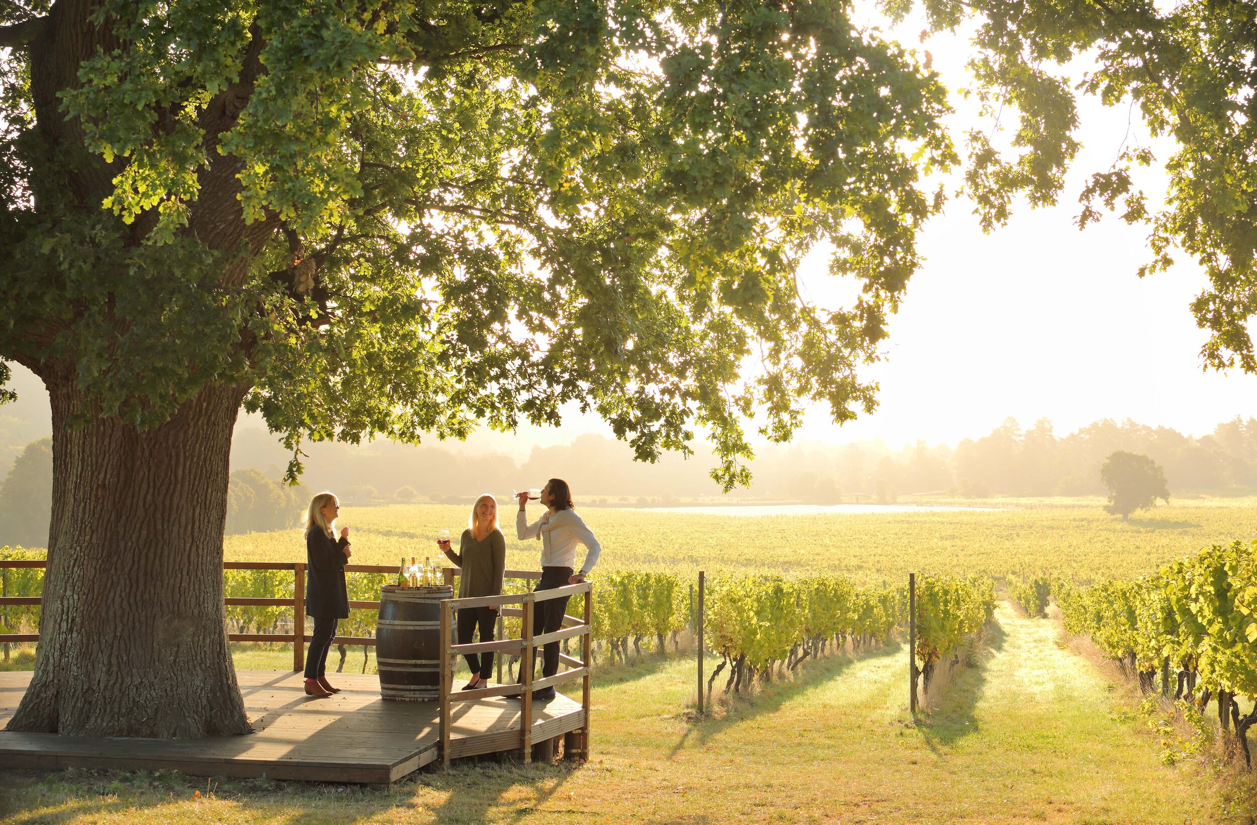 Winning in the Wine Awards!