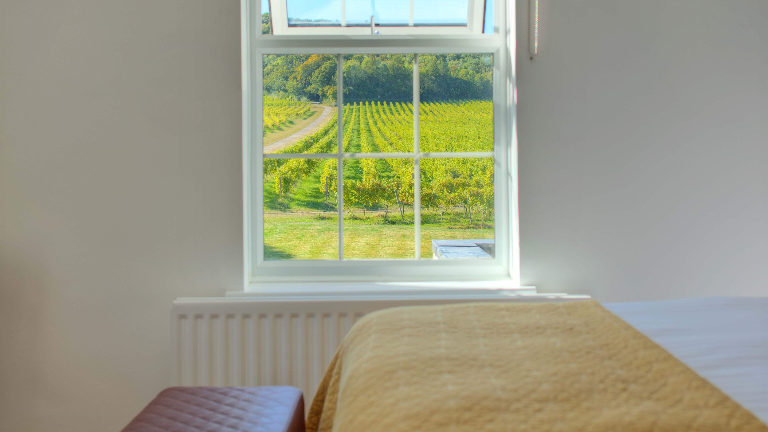 Vineyard view from a room at Denbies Wine Estate, Dorking, Surrey.jpg