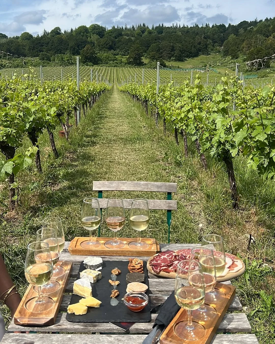 Albury Vineyard by @sharini22