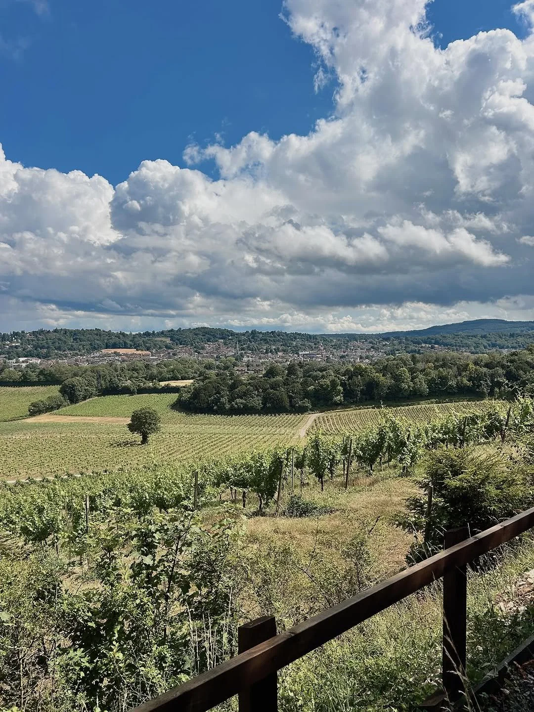Denbies Wine Estate by @madi_reinhard