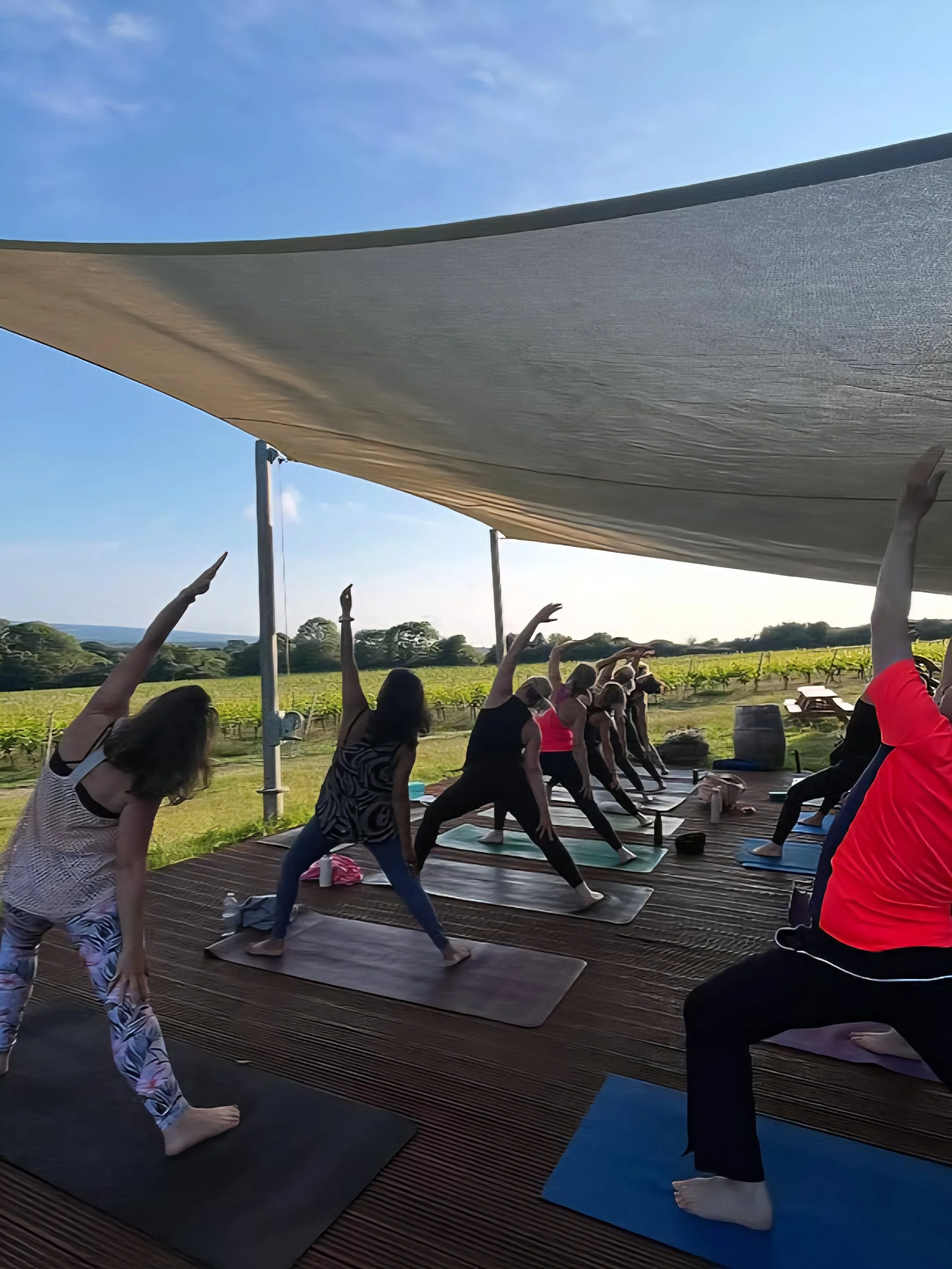 Greyfriars Vineyard by @kateyoga.surrey