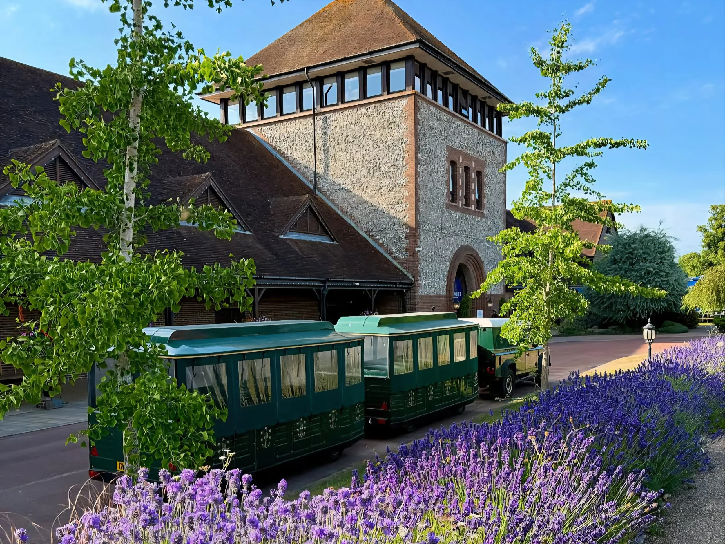 Denbies Wine Estate by by @bogdan_schiteanu