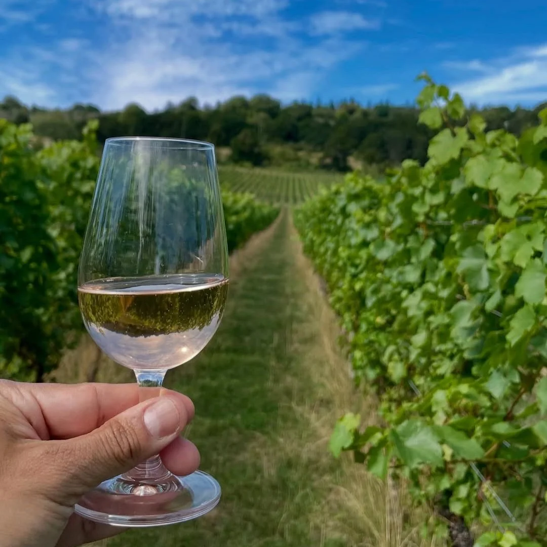 Albury Vineyard by @marcoheurtaa