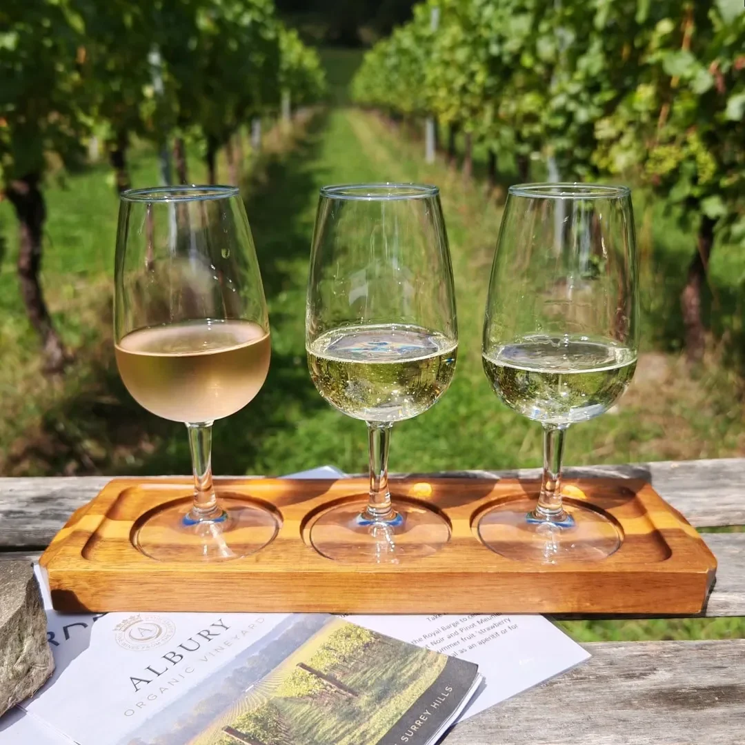 Albury Vineyard by @shellcp88