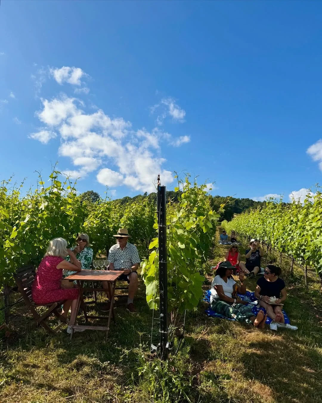 Chilworth Manor Vineyard by @bethanclairereen