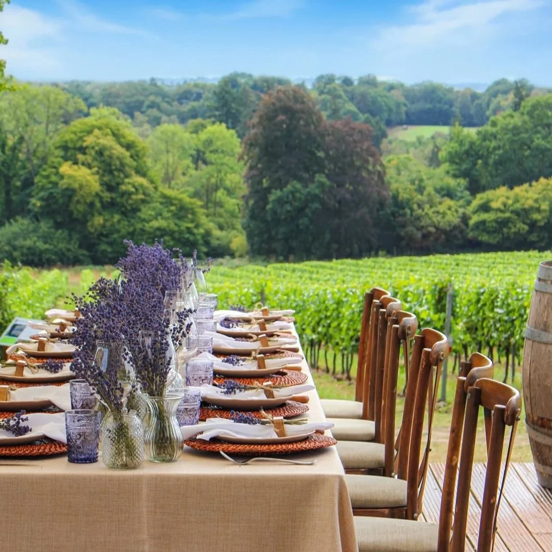 Greyfriars Vineyard by @searcyslondon