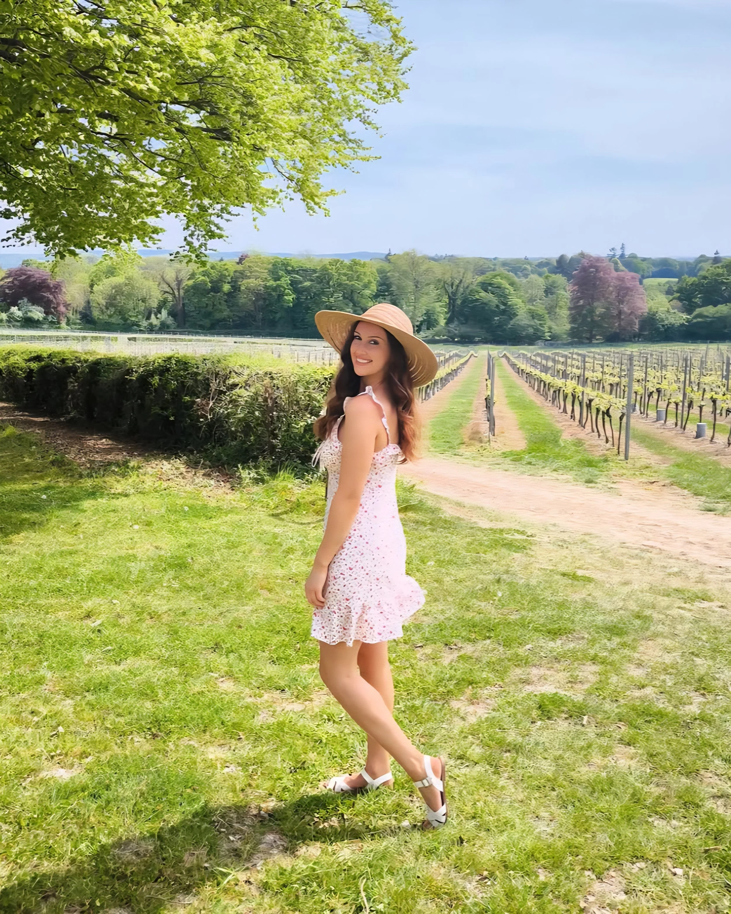 Greyfriars Vineyard by @lucyscarfe