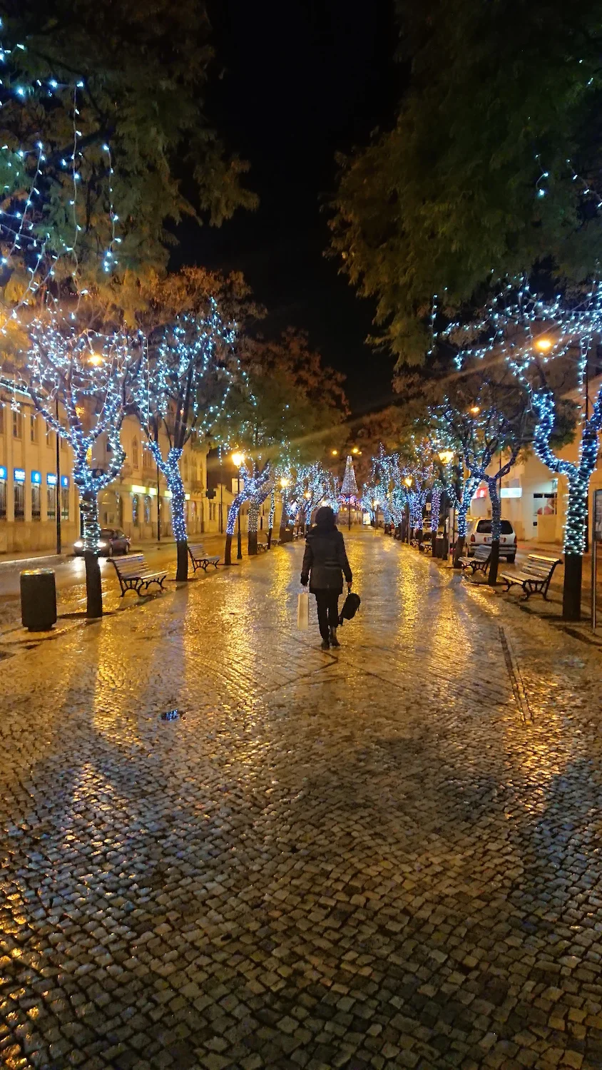 Main boulevard in fishing town of Olhao copy.jpg