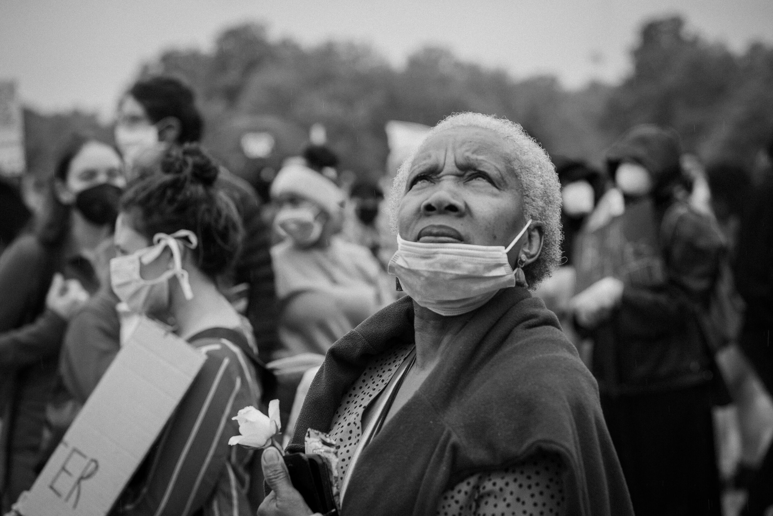  © Wolli Films. All rights reserved. 