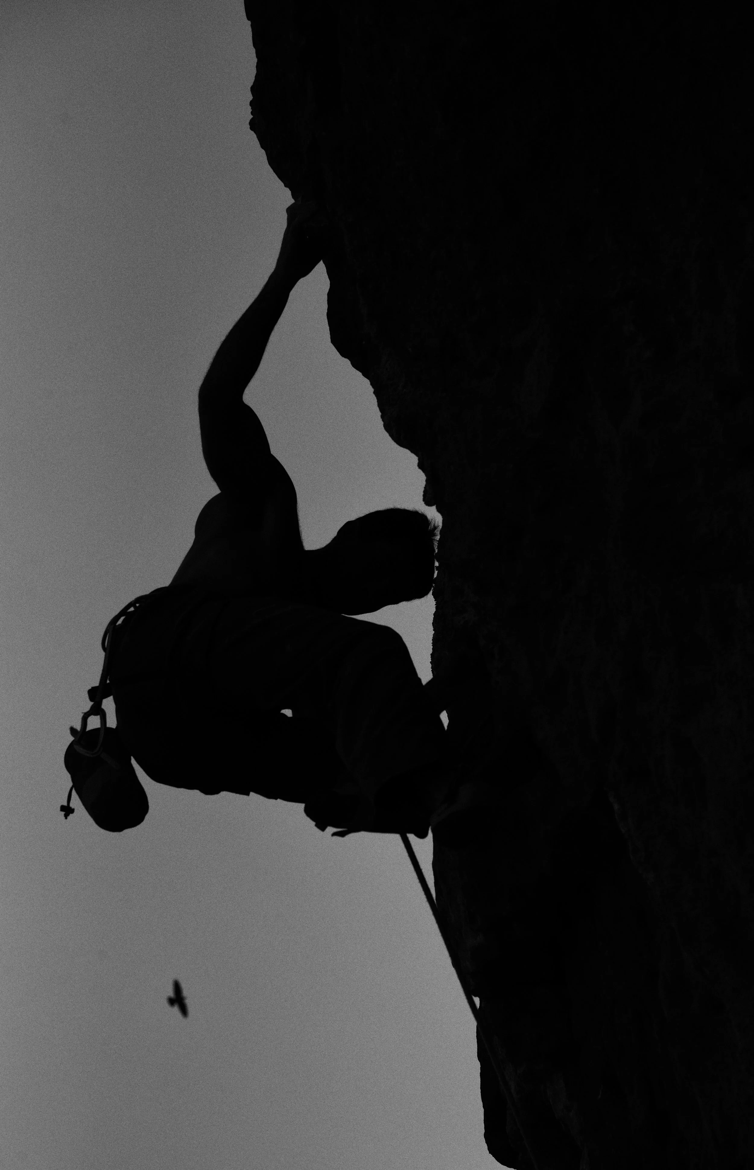 Silhouette.jpg