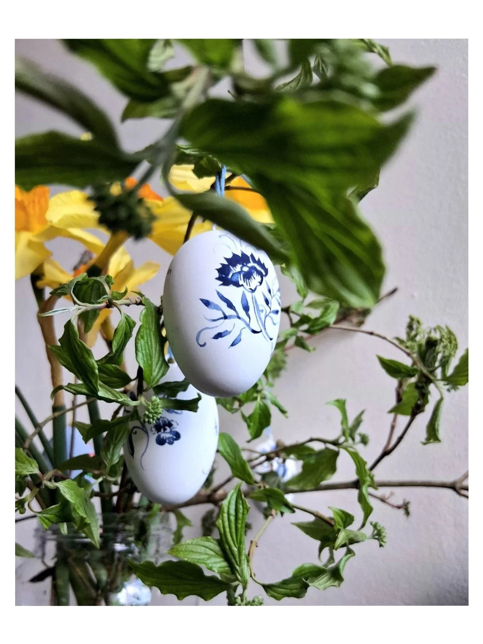 LB PAINTED EGGS 2.jpeg