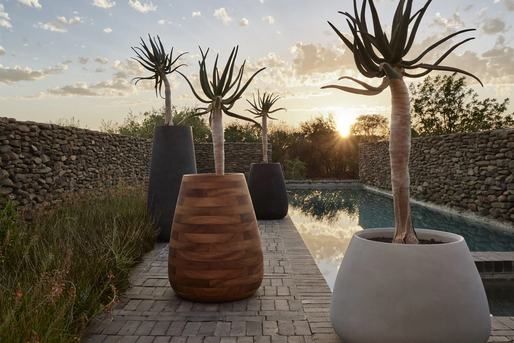 Tuber Mix by Pool.jpg