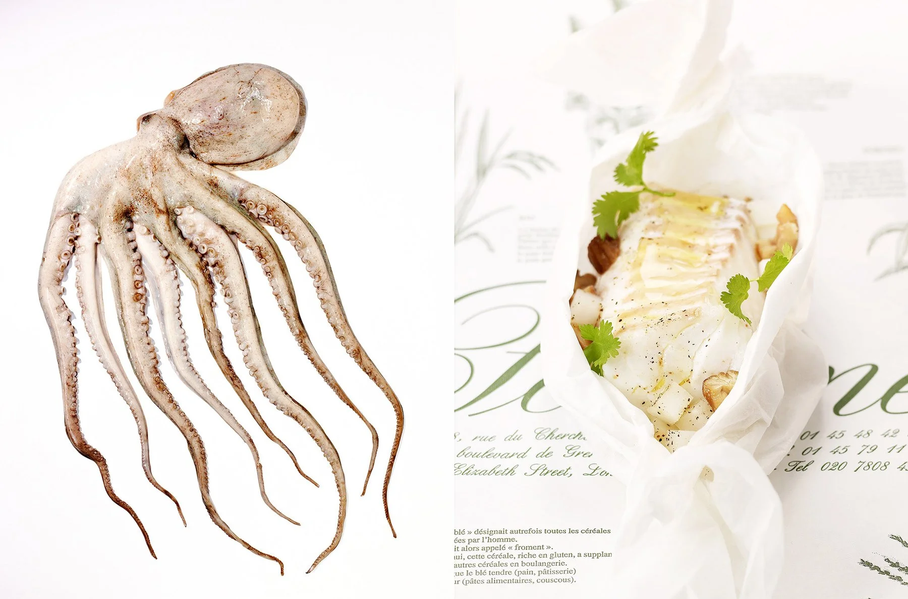 Seafood