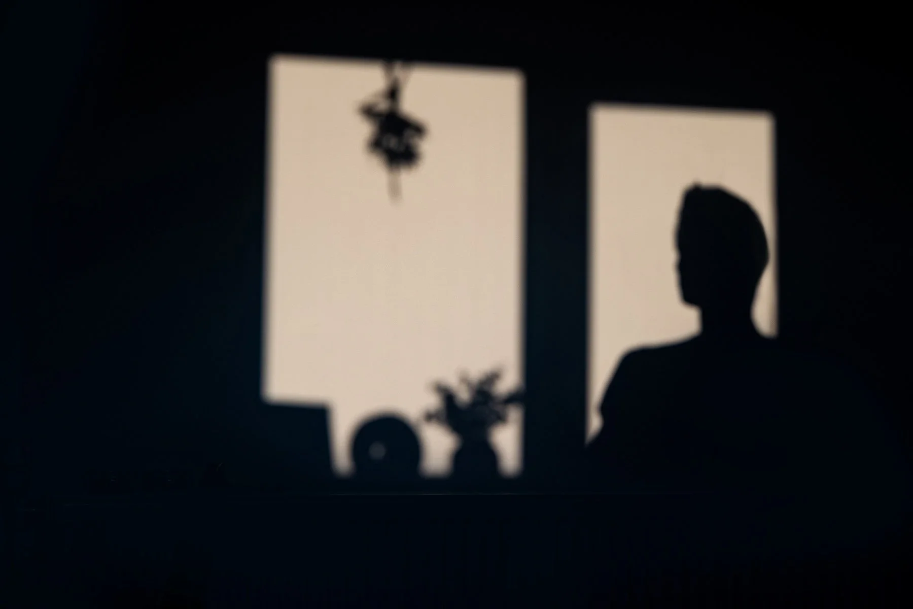 silhouette.jpg