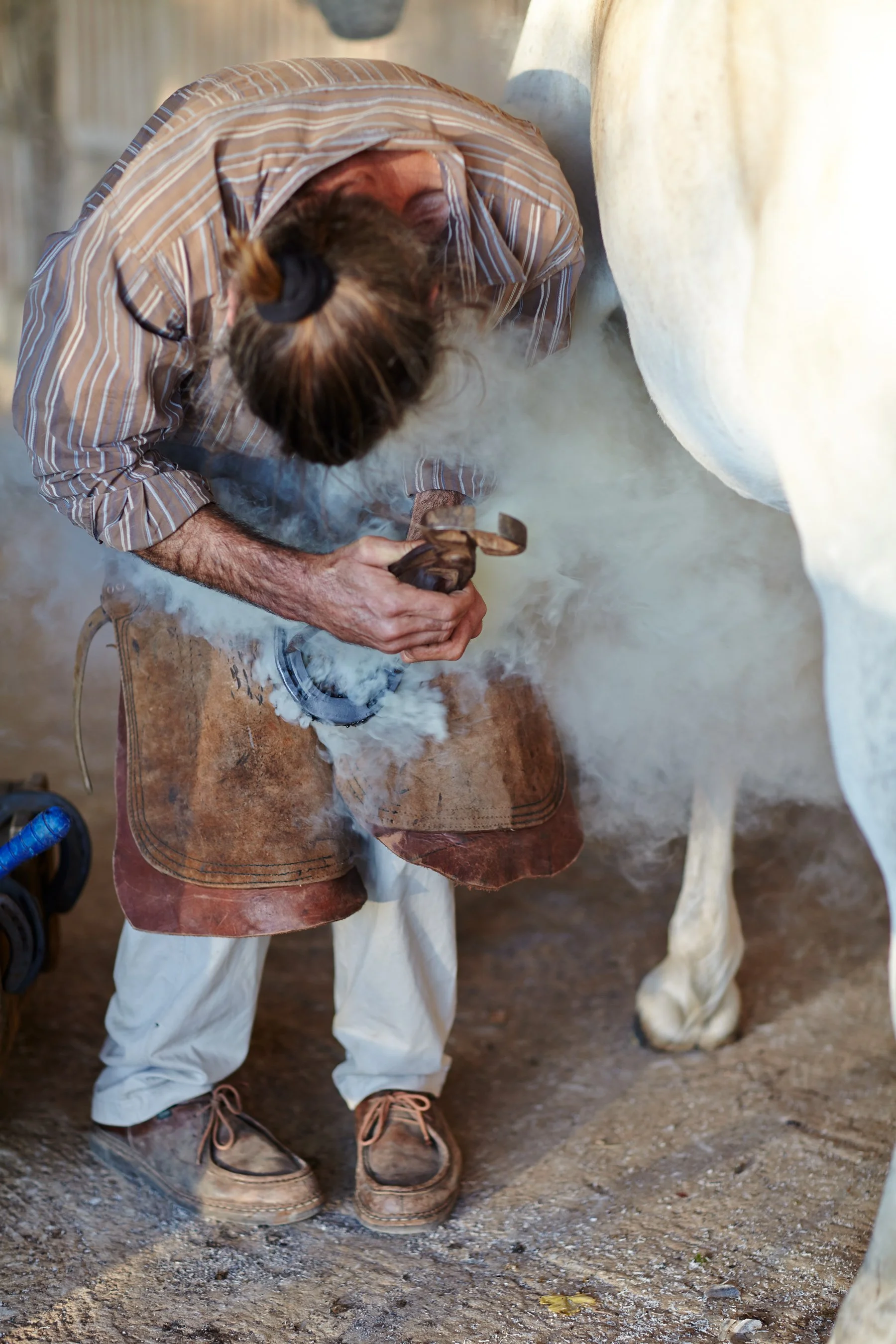 farrier.jpg