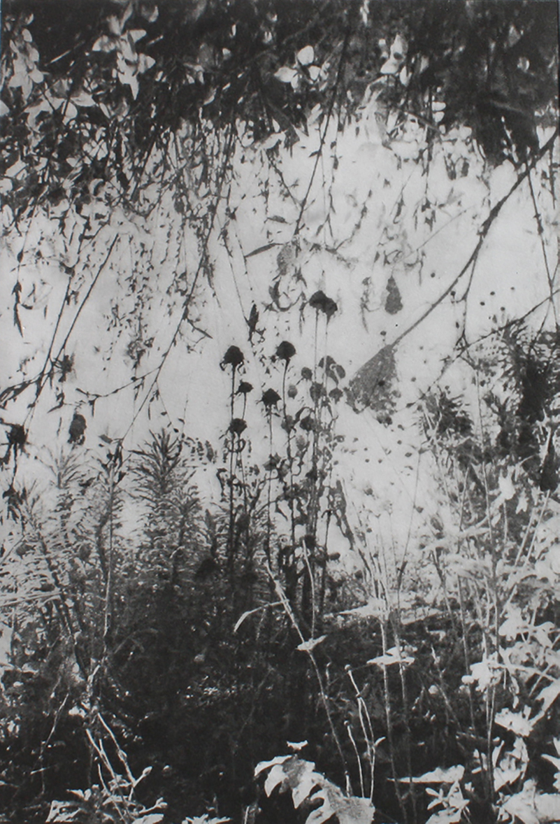 Flower Garden black/white unframed