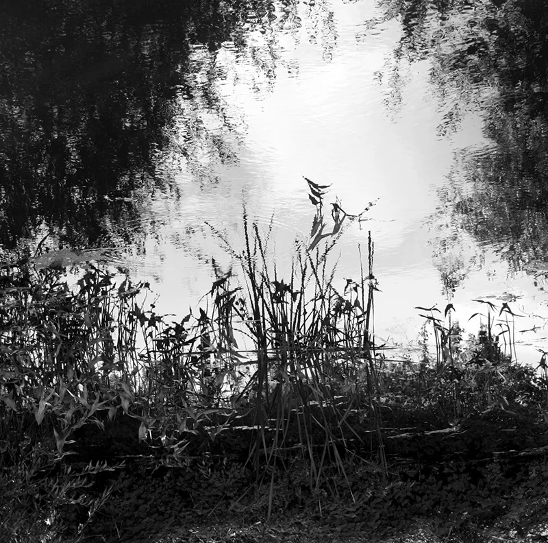 River Bank One  unframed