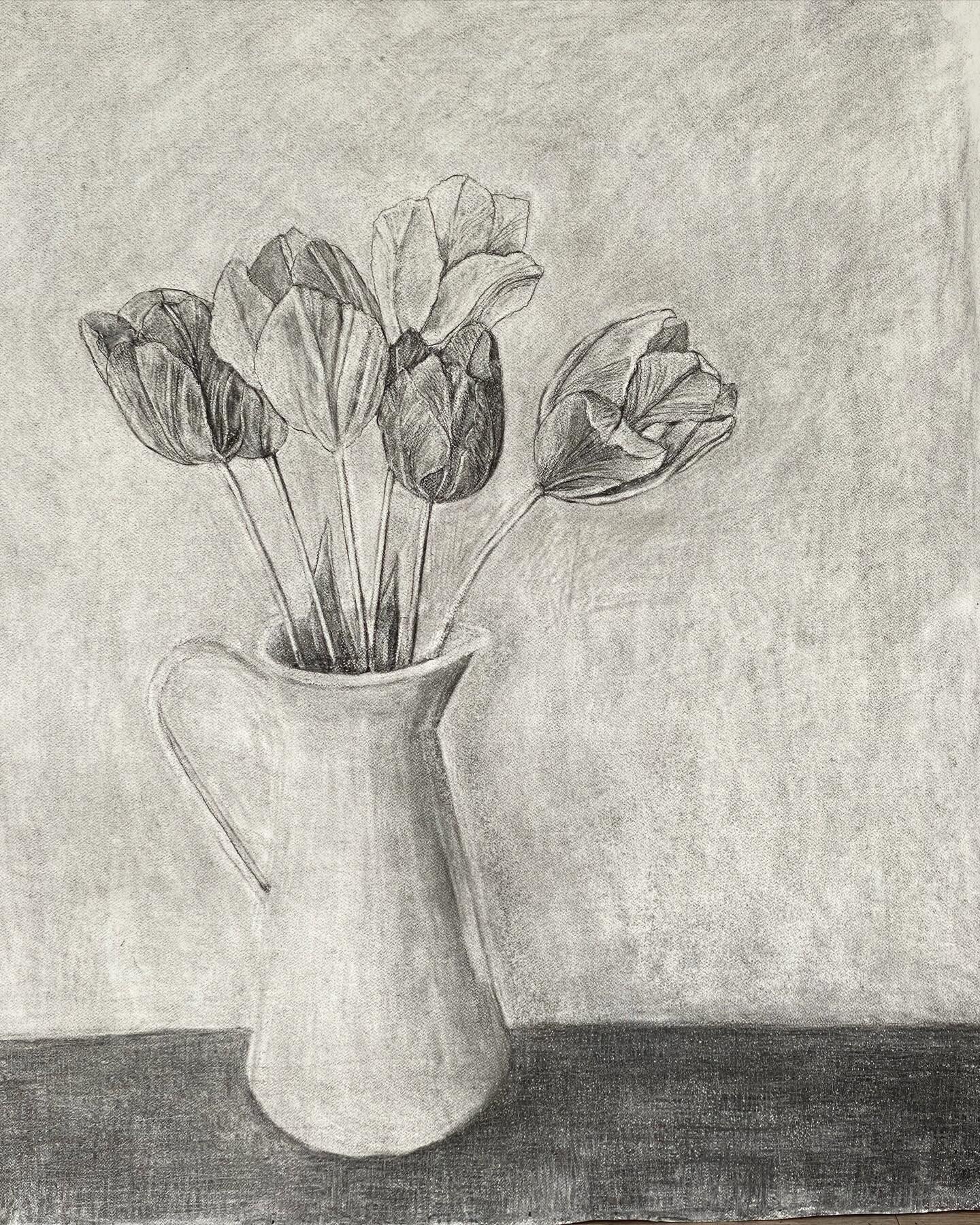 #newdrawing #darwintulips over a metre square #blackandwhite #charcoaldrawings