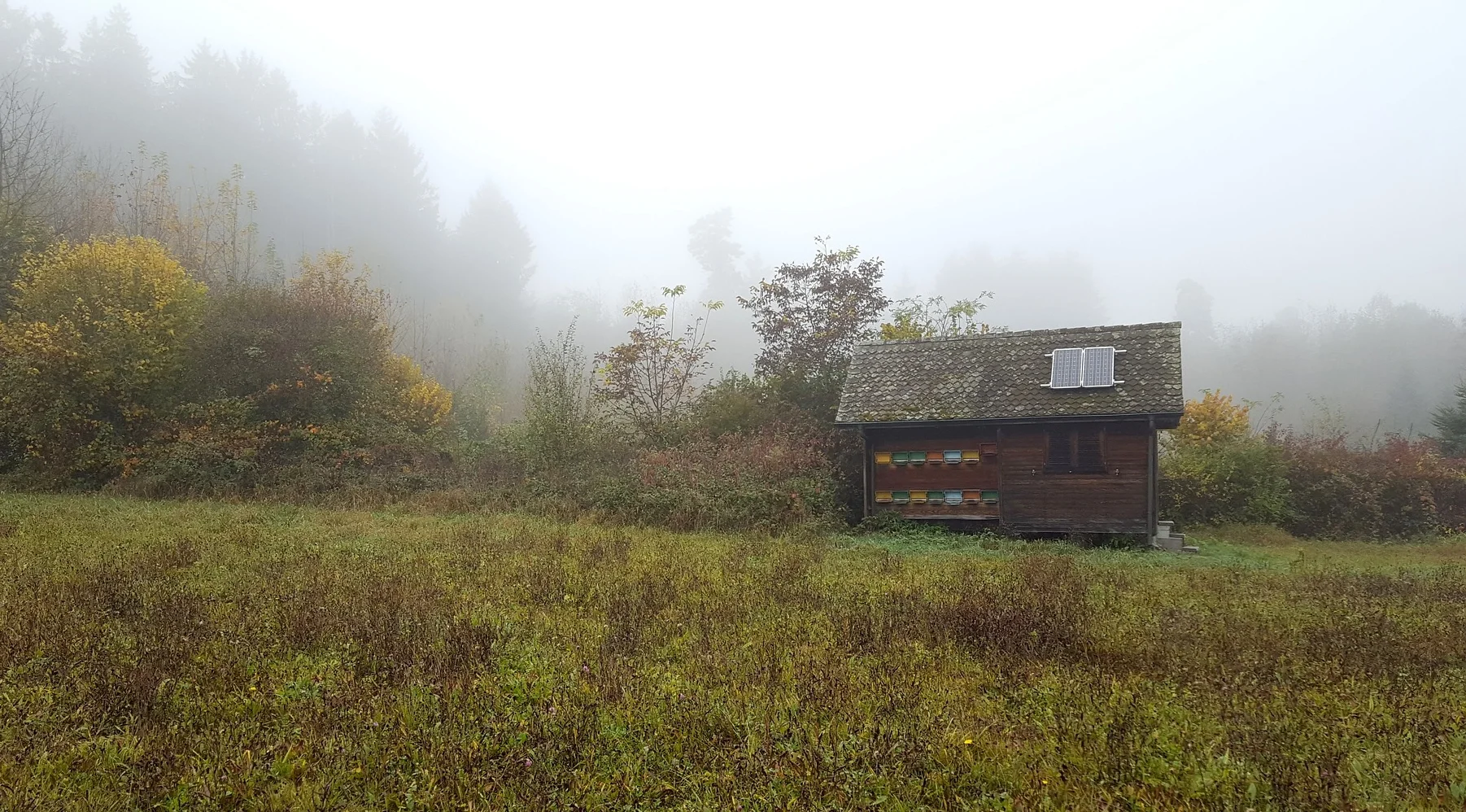 fog-1923403_1920.jpg