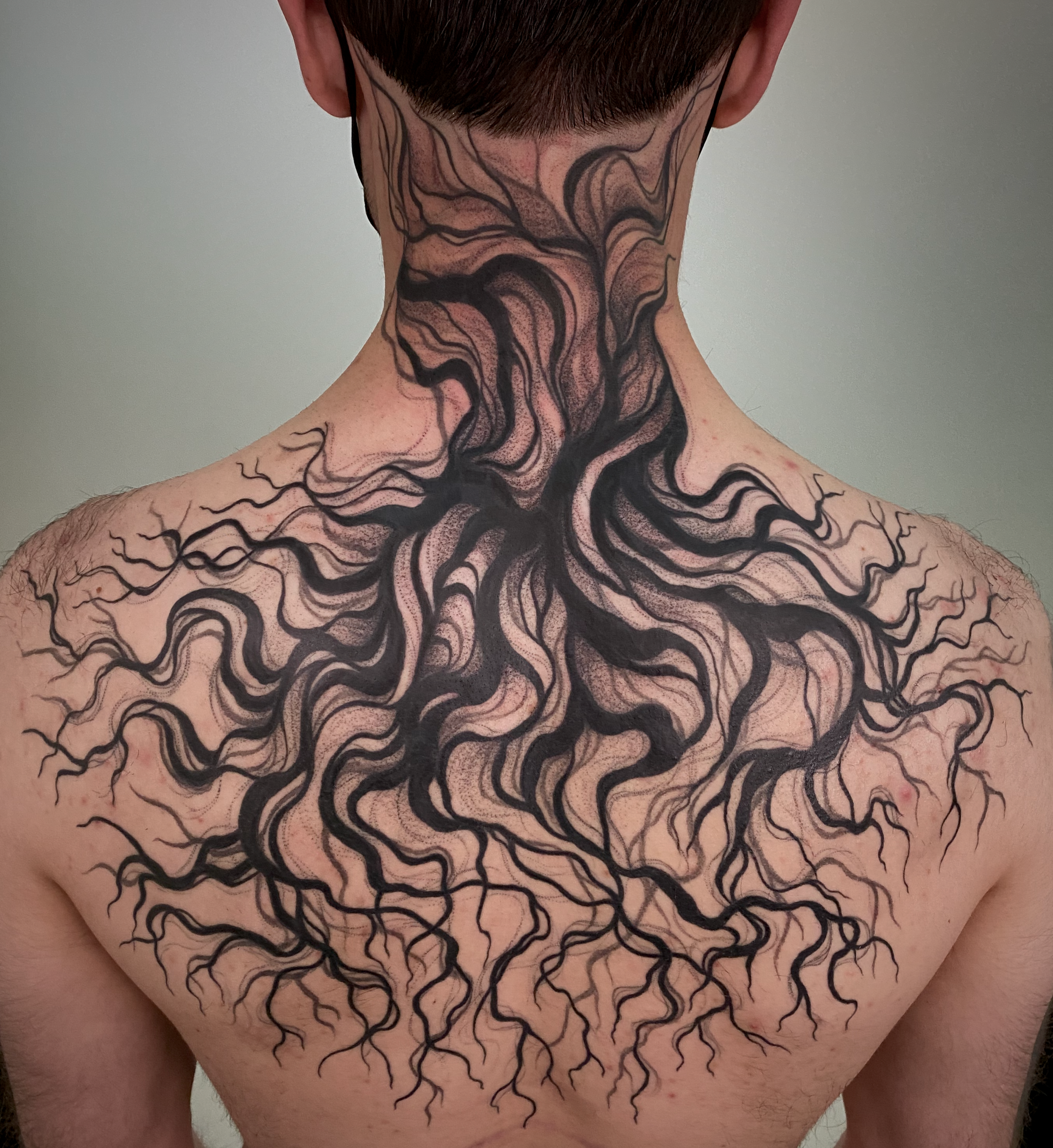 copyright lulu henle 2026