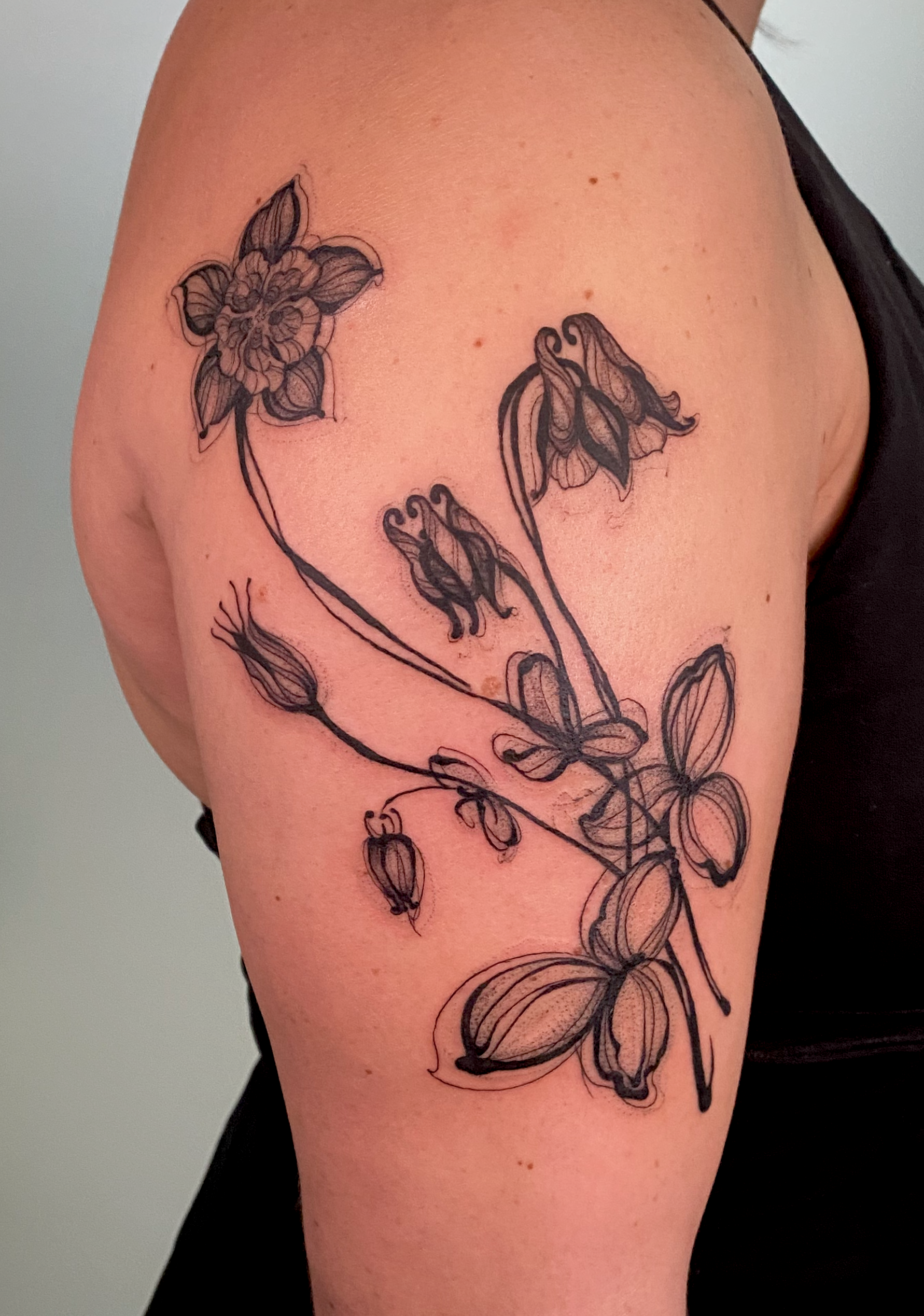 copyright lulu henle 2026