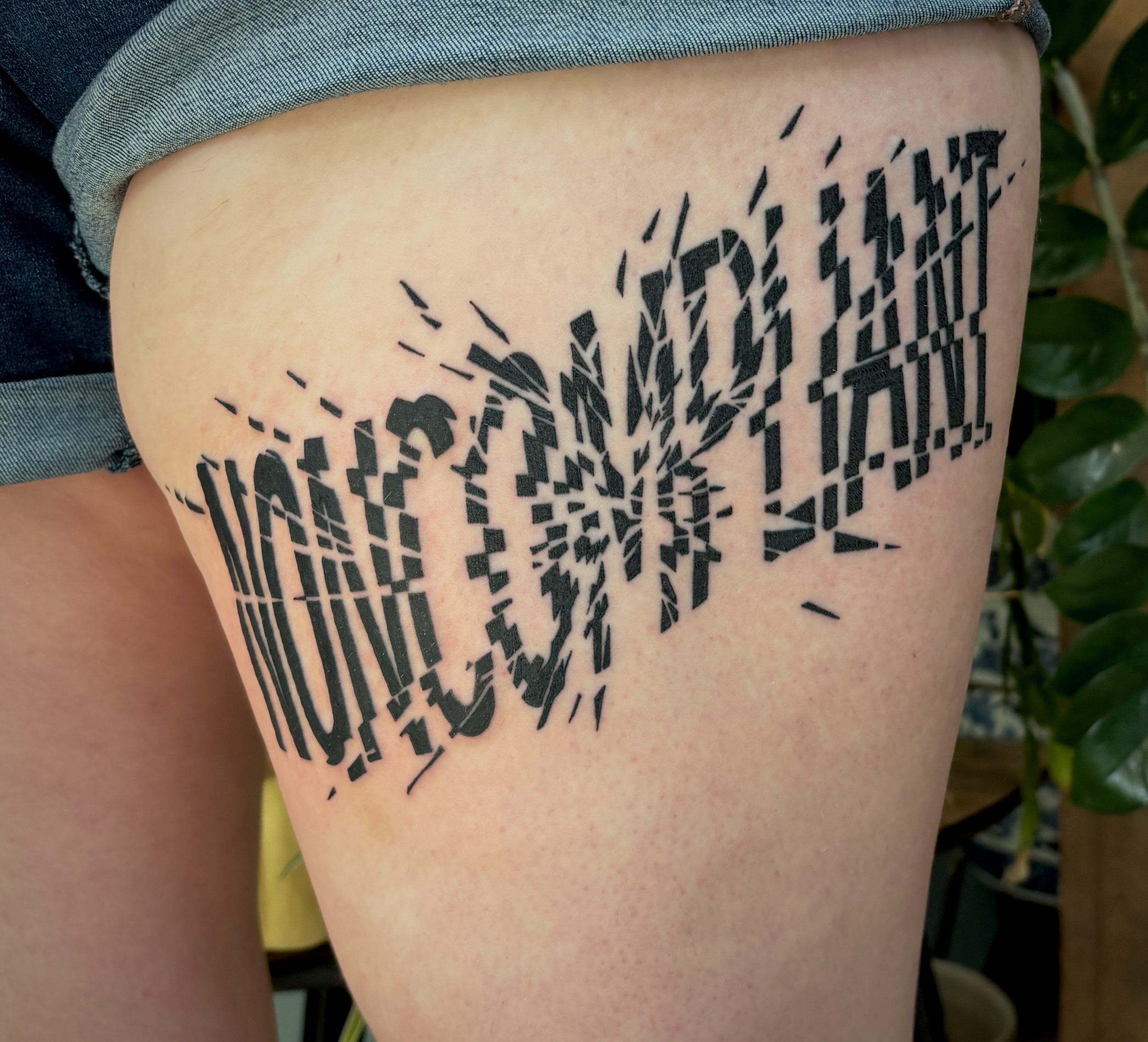 copyright lulu henle 2026