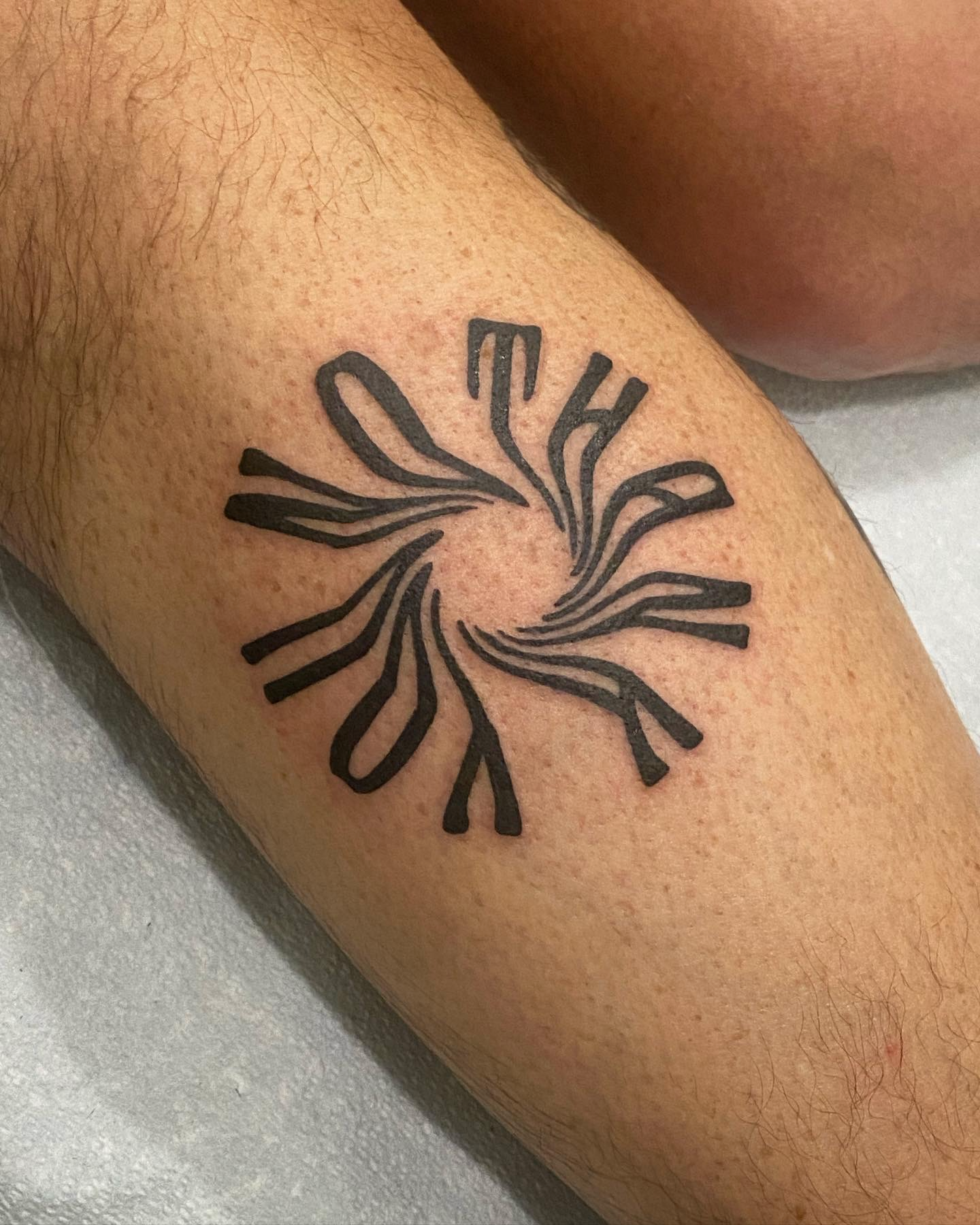 copyright lulu henle 2026