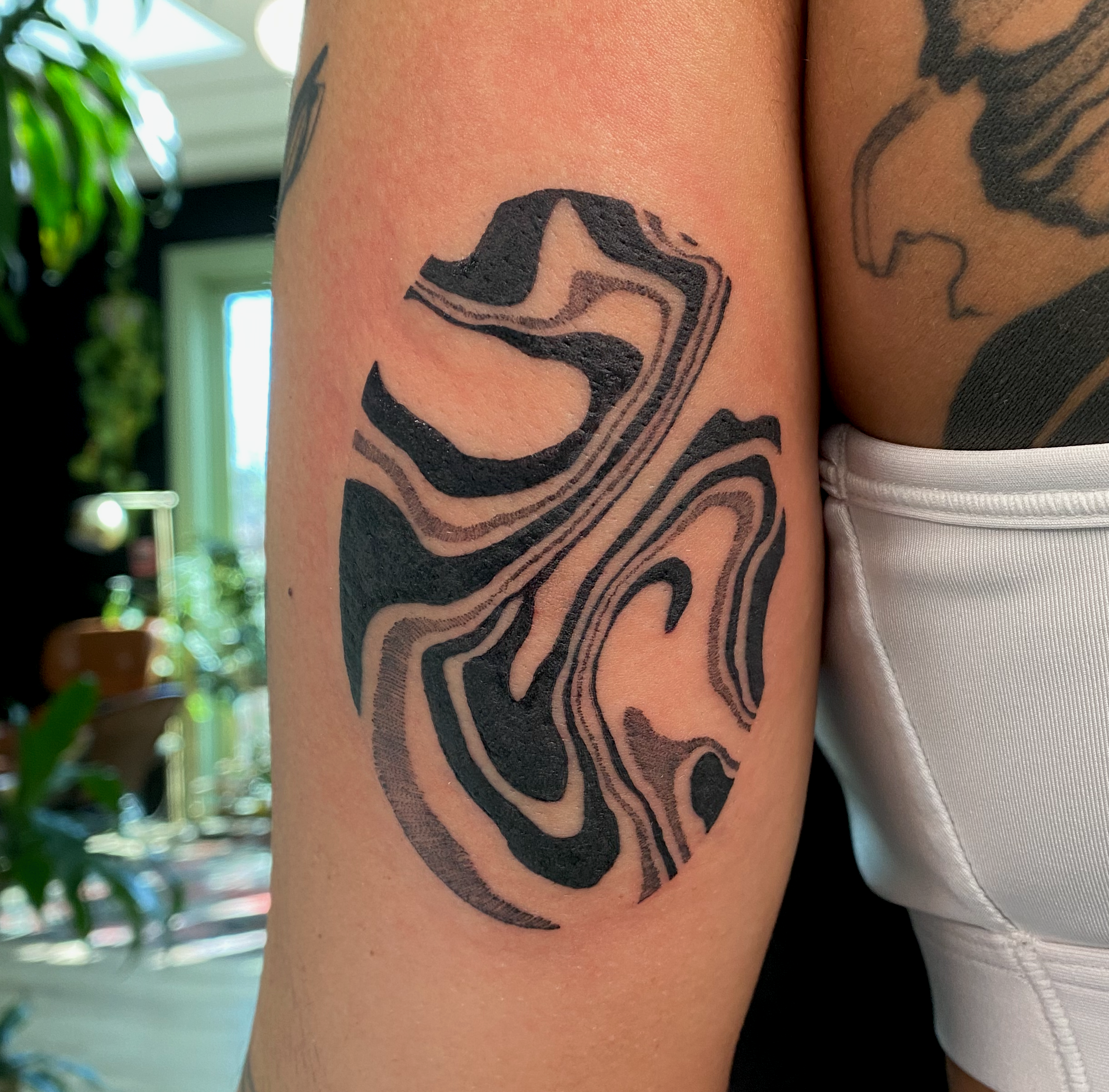 copyright lulu henle 2026