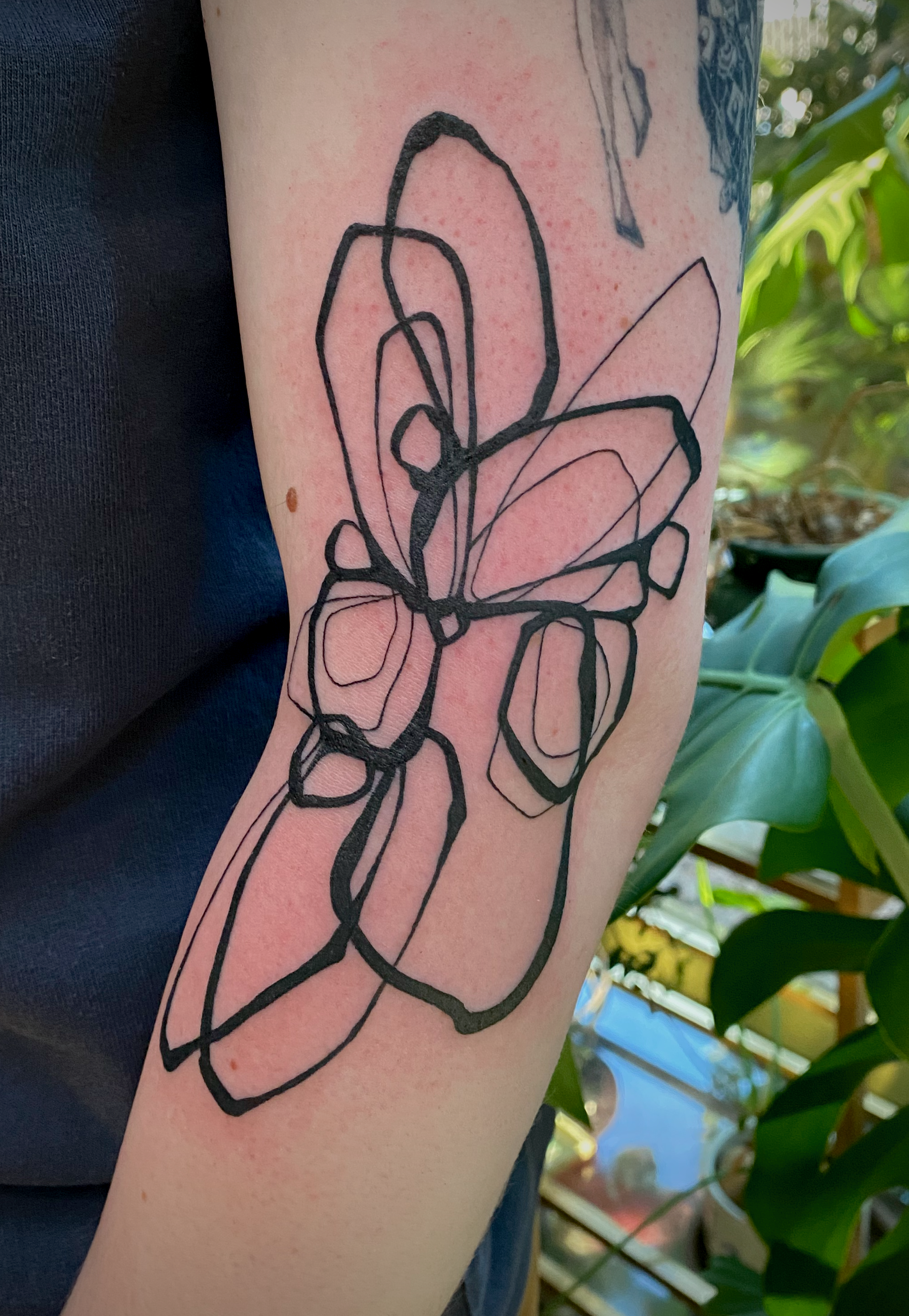 copyright lulu henle 2026