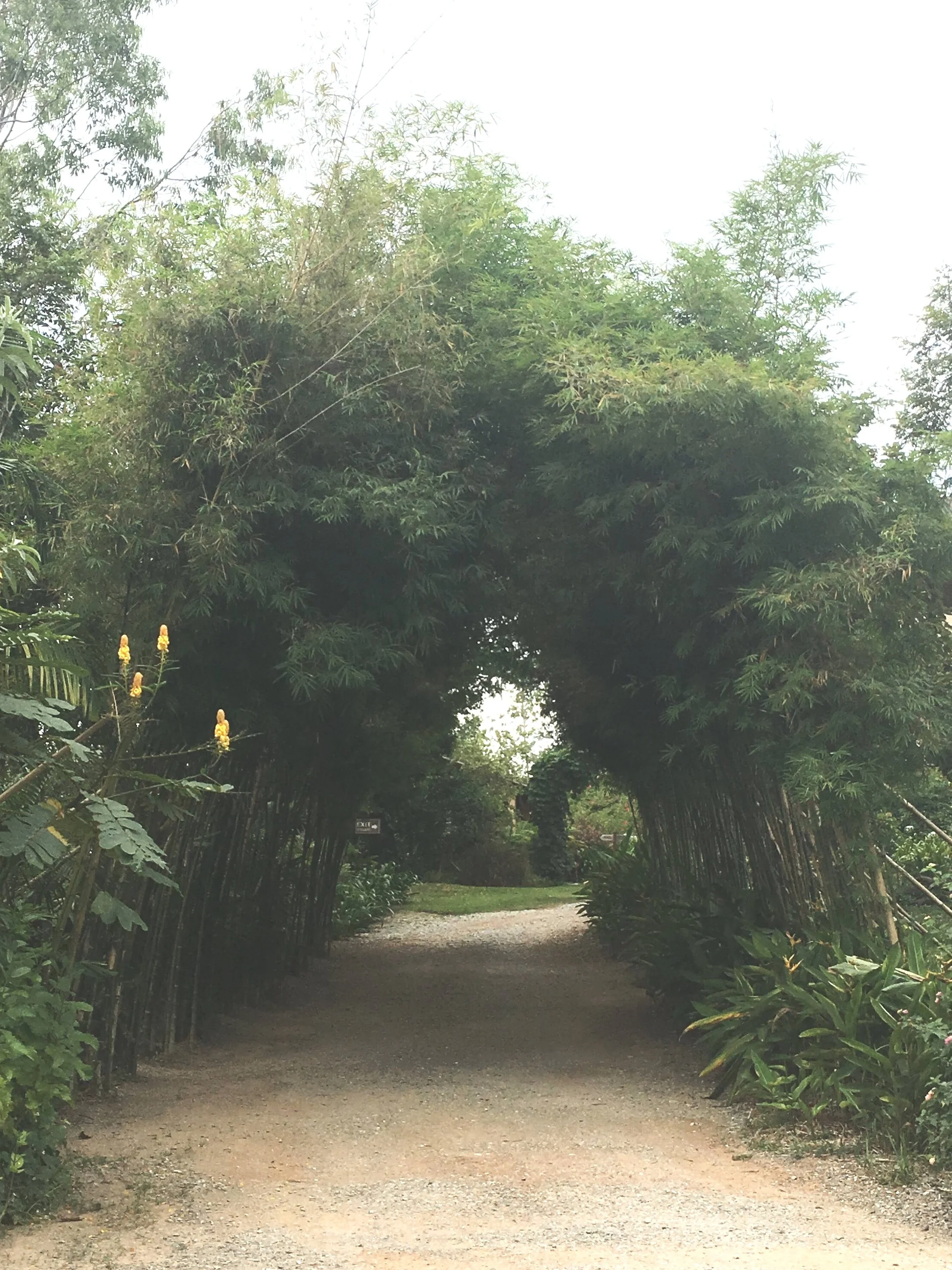 I signed up for a retreat when I knew I needed a longer break from my day to day life, and afterwards I arrived at Museflower, which I’ll share with you soon