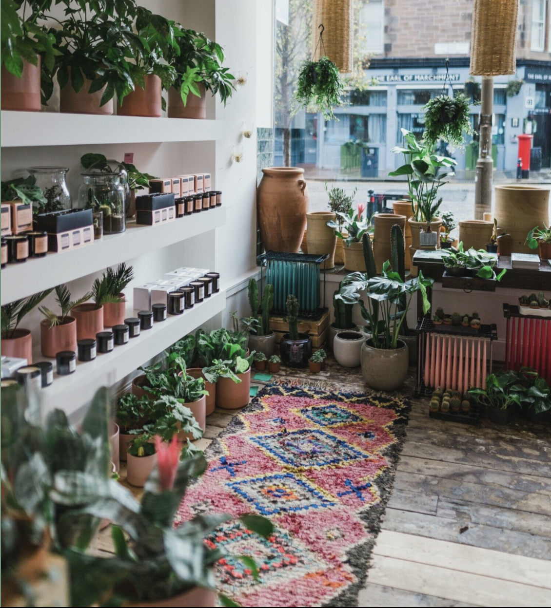 The beautiful plant and lifestyle store Dahlia is now moved to Stockbridge but the interior design and energy of the shop are always so pleasing!