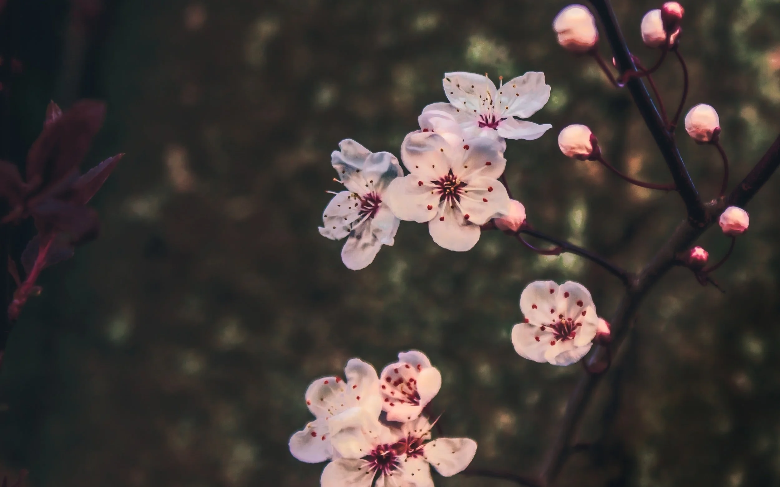4 soulful things to do before you move into your new home