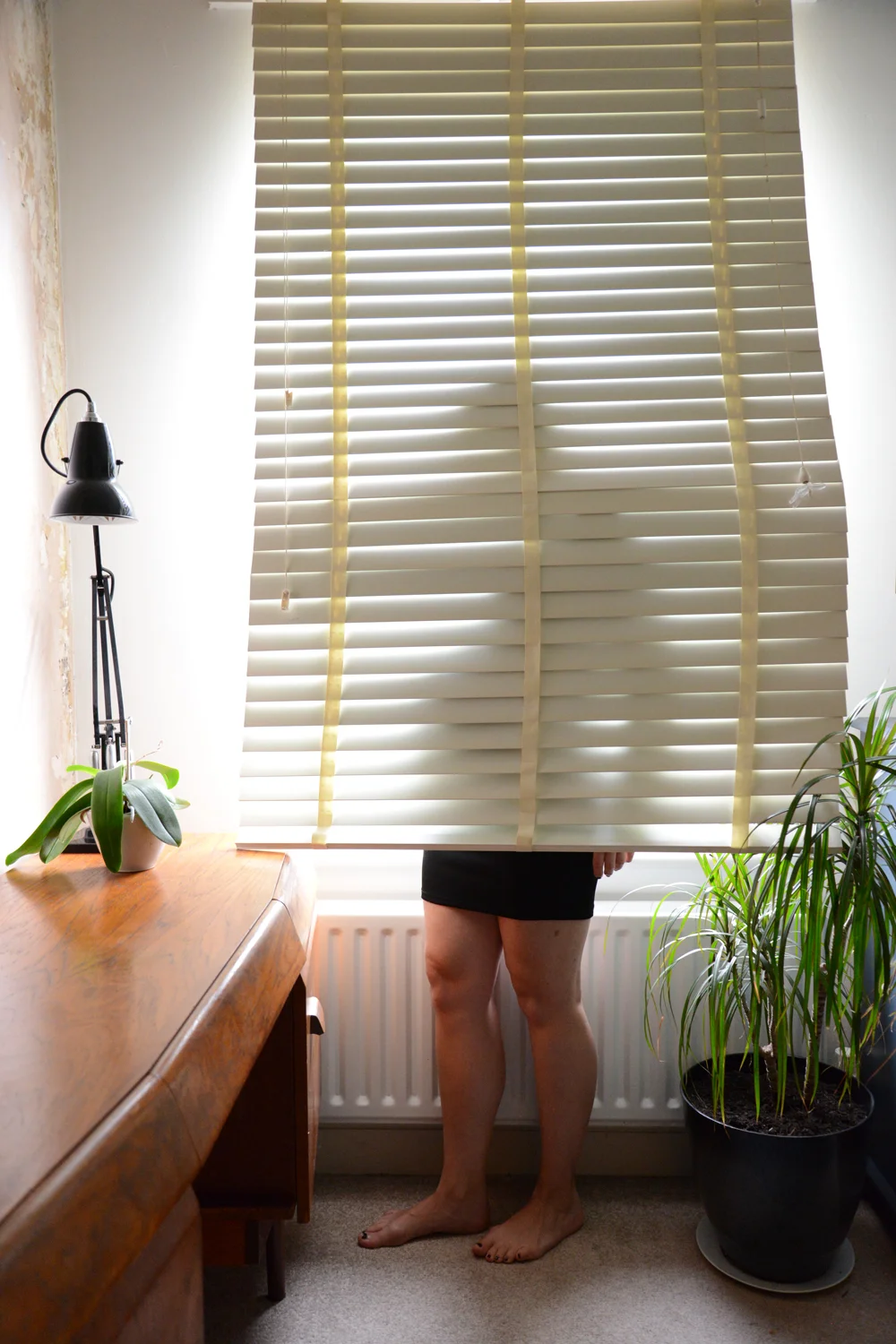 Georgie Jasper White_DISAPPEARING_Blinds_010_72dpi.JPG