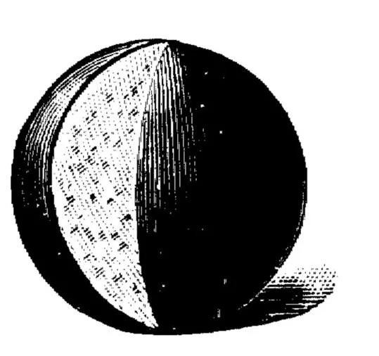 37138647_1132798333528022_7828789464284528640_o.jpg