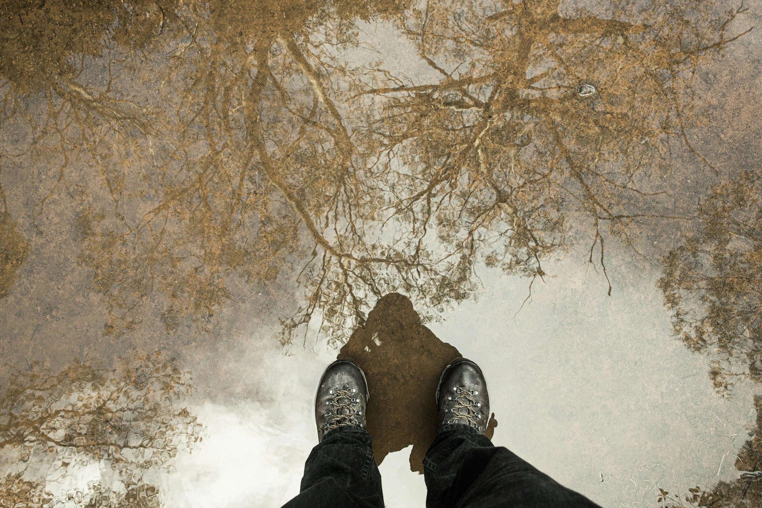 unsplash-image-vNefWWw40-0.jpg