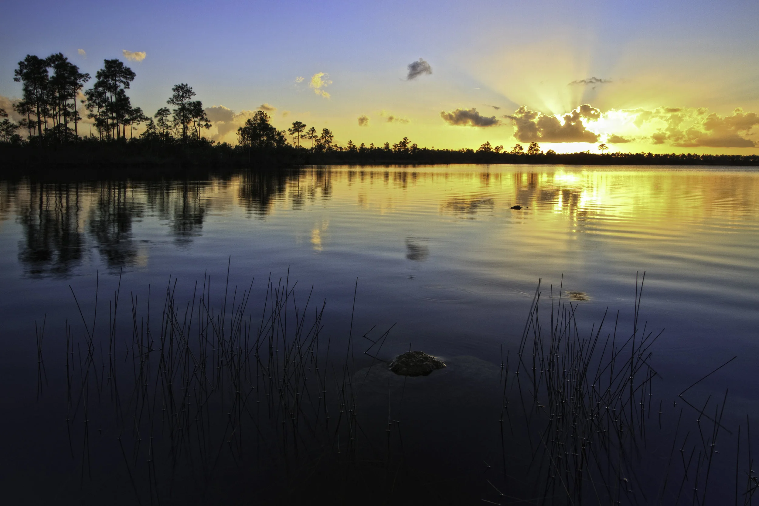Sunset-Pricing_Web-Ready.jpg