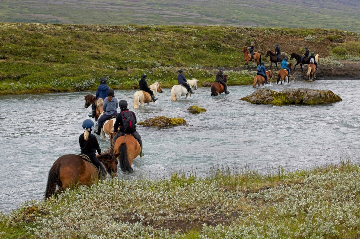 On our Waterfall tour which goes from the farm to Go&eth;afoss and back we have to cross a part og Skj&aacute;lfandaflj&oacute;t (Named Hr&uacute;teyjarhv&iacute;sl) to get to the waterfall.

#horsesofinstagram #northiceland #eyjardalsahorseriding #e