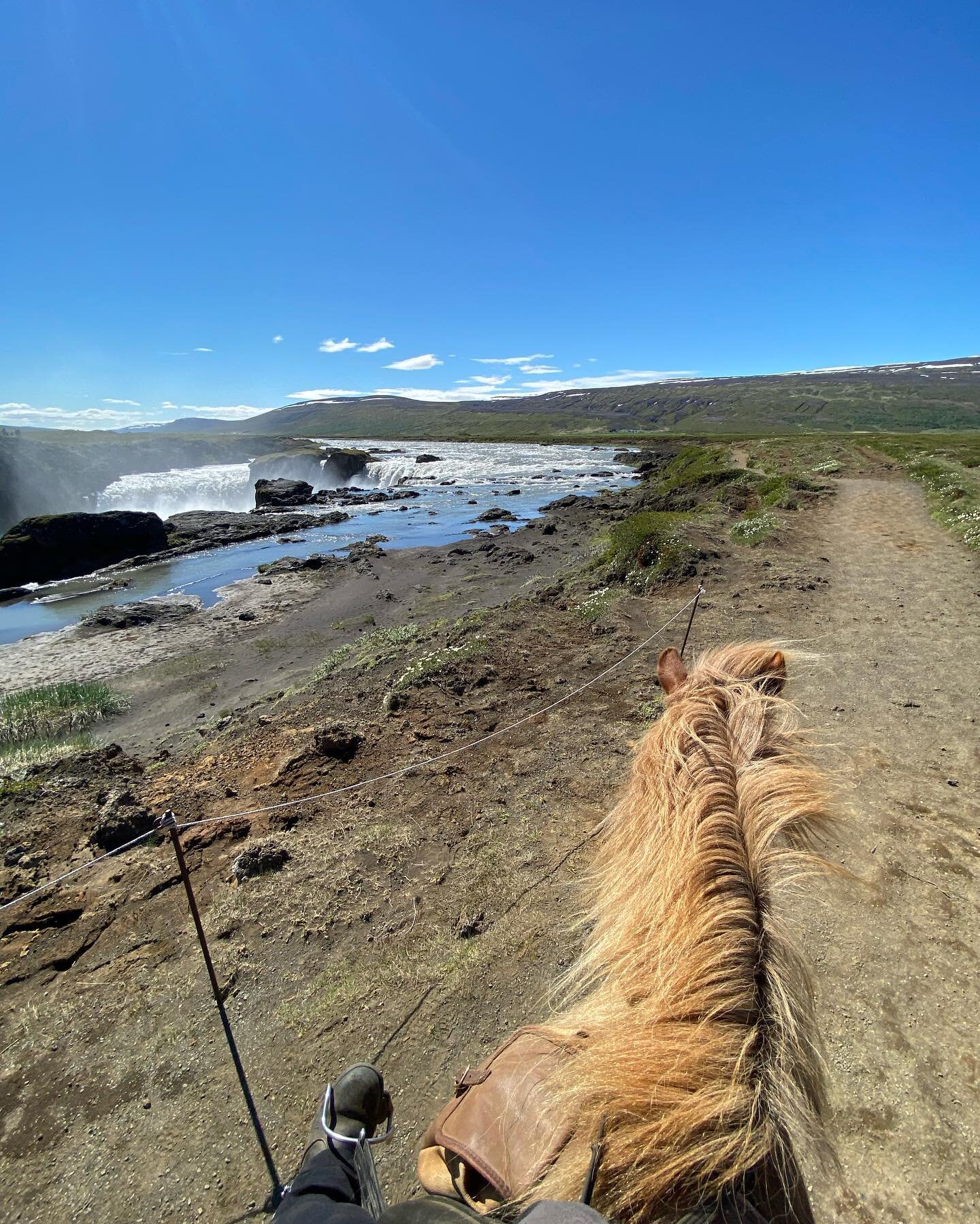 There was a Waterfall ride to Go&eth;afoss today in amazing weather!
Sometimes in springtime all the rivers have til much water to cross them on a horse, then we just have to take the bridge :)
#dreamtour #eyjardalsahorseriding #horsesofinstagram #ho